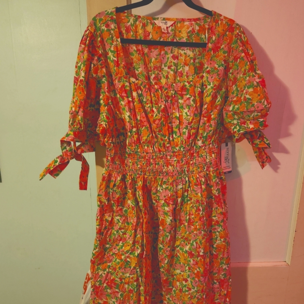 Terra and Sky dress NWT